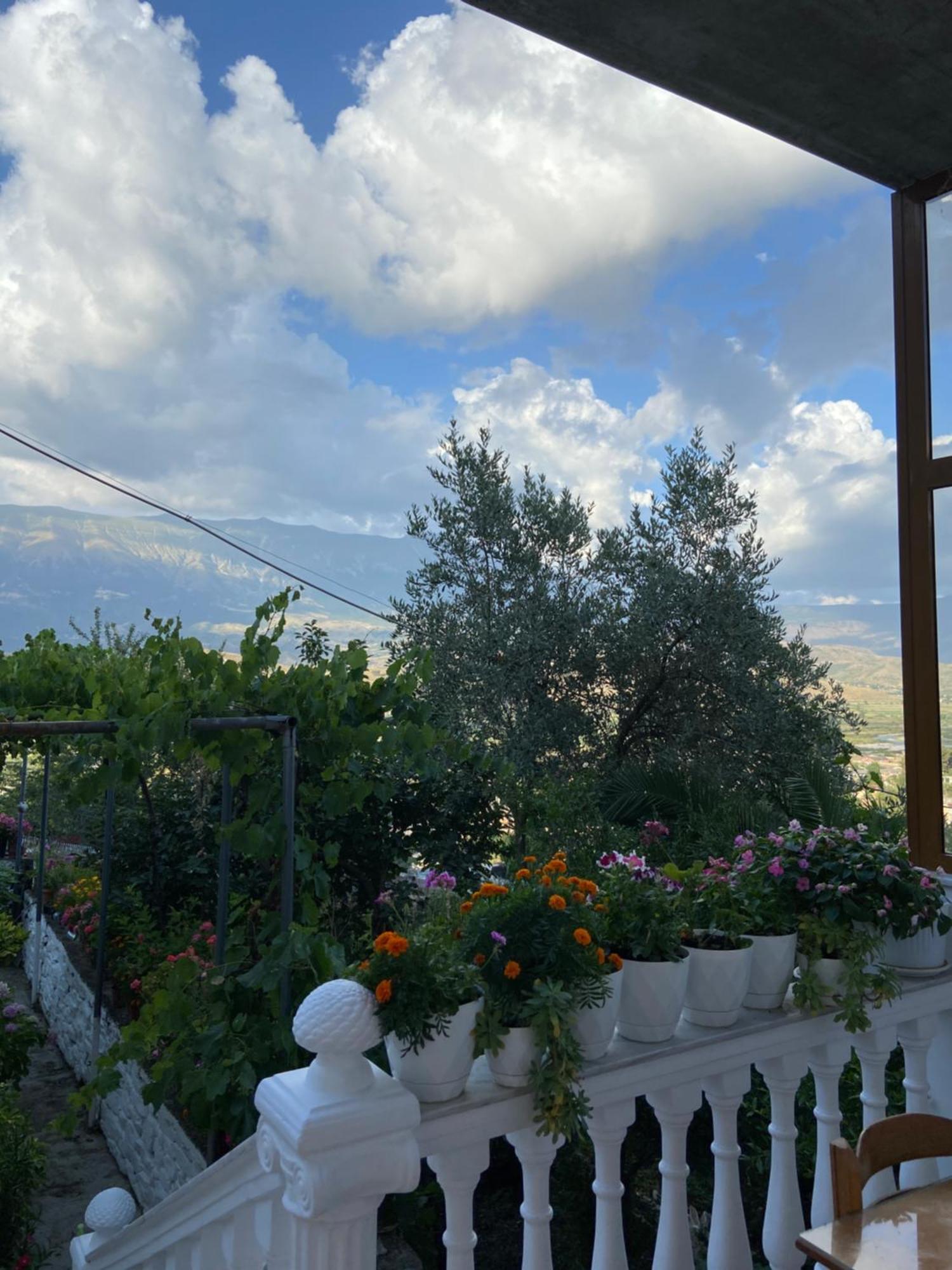 Stonetale Garden Guesthouse Gjirokastër Buitenkant foto
